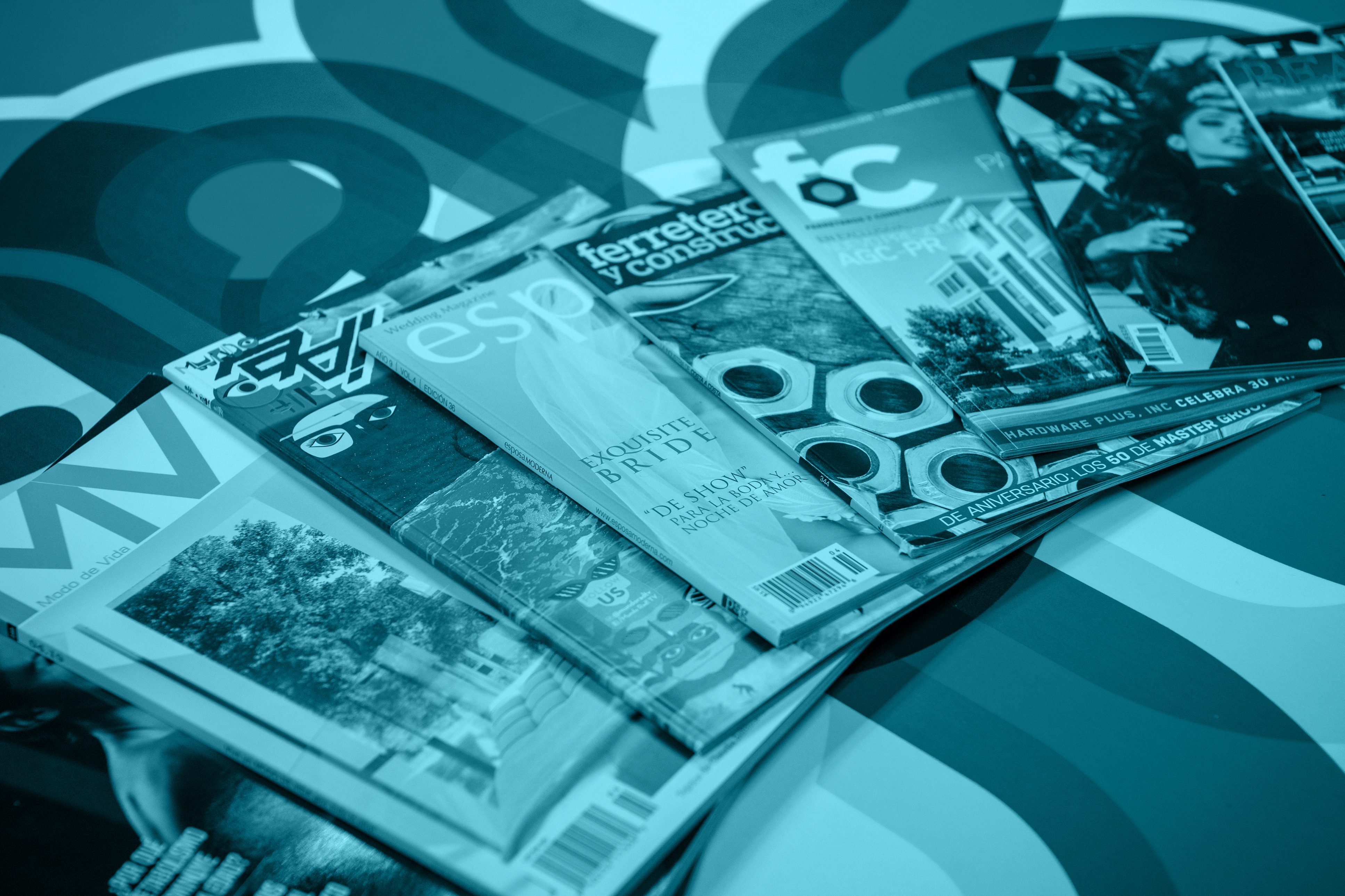 Revistas